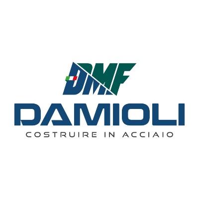 D.M.F. - DAMIOLI S.R.L.
