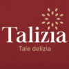 TALIZIA INTERNATIONAL