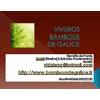 VIVEROS BAMBOUS DE GALICE
