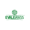 EVALIGRASS GRASS FENCE MANUFACTURER